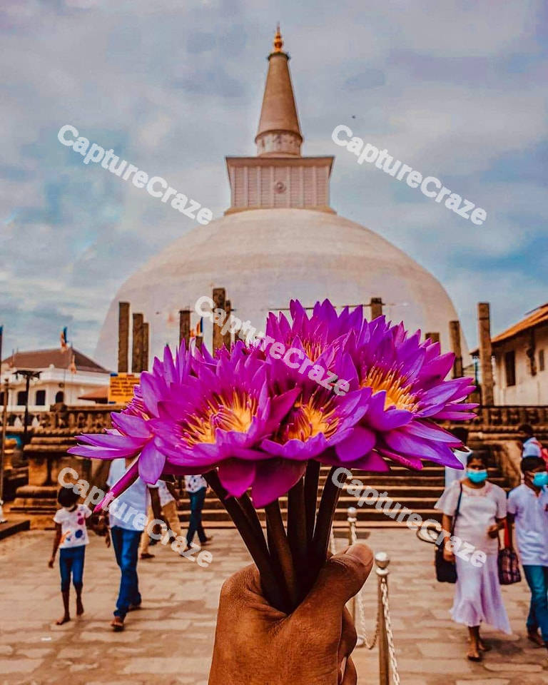 A person holding a purple bouquet